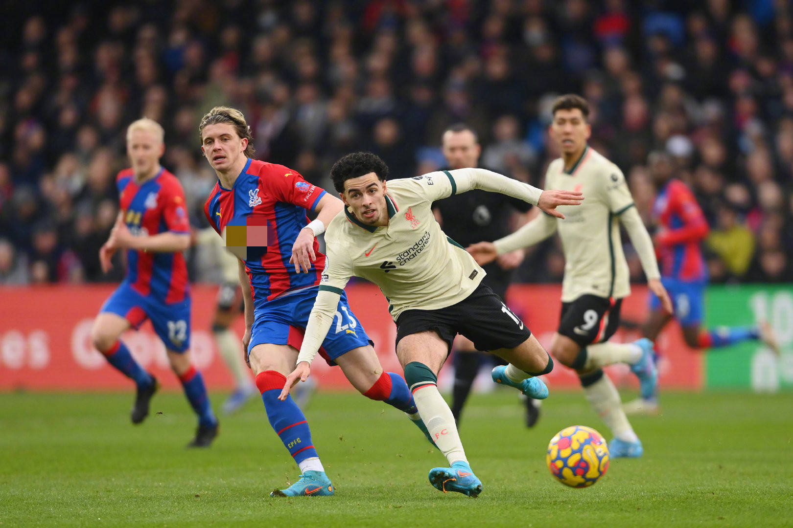 上海女排针 上海女排针